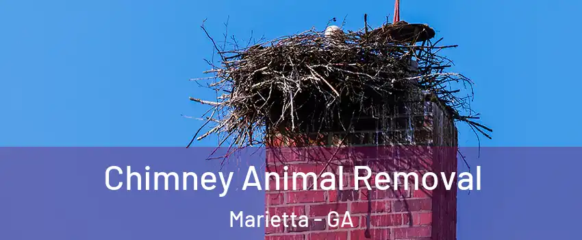 Chimney Animal Removal Marietta - GA