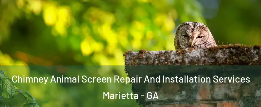  Chimney Animal Screen Repair And Installation Services Marietta - GA