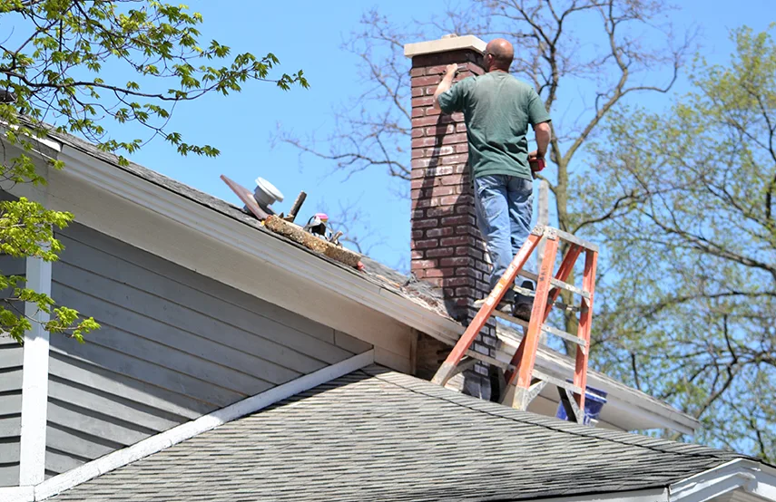 Chimney & Fireplace Inspections Services in Marietta, GA