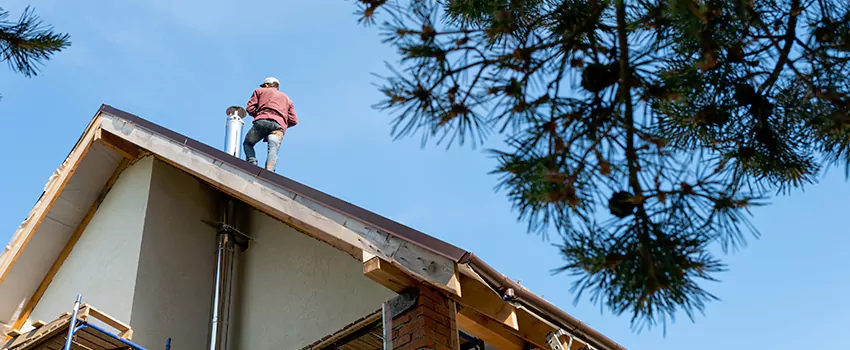 Birds Removal Contractors from Chimney in Marietta, GA