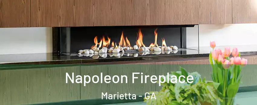  Napoleon Fireplace Marietta - GA